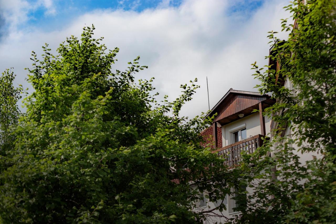 Bed and Breakfast Alabastrom Panzio Es Etterem Bogács Exteriér fotografie