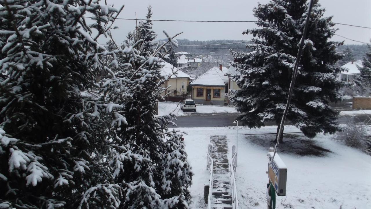 Bed and Breakfast Alabastrom Panzio Es Etterem Bogács Exteriér fotografie